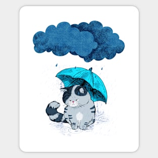 rain cat Sticker